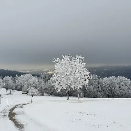 FeWo Alpenblick Apartment Grafenhausen