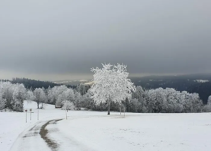 Alpenblick Apartment Grafenhausen